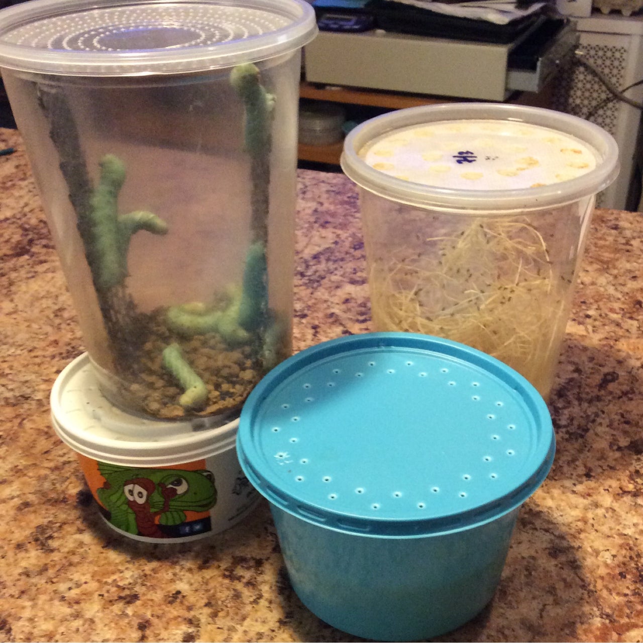 Other feeders